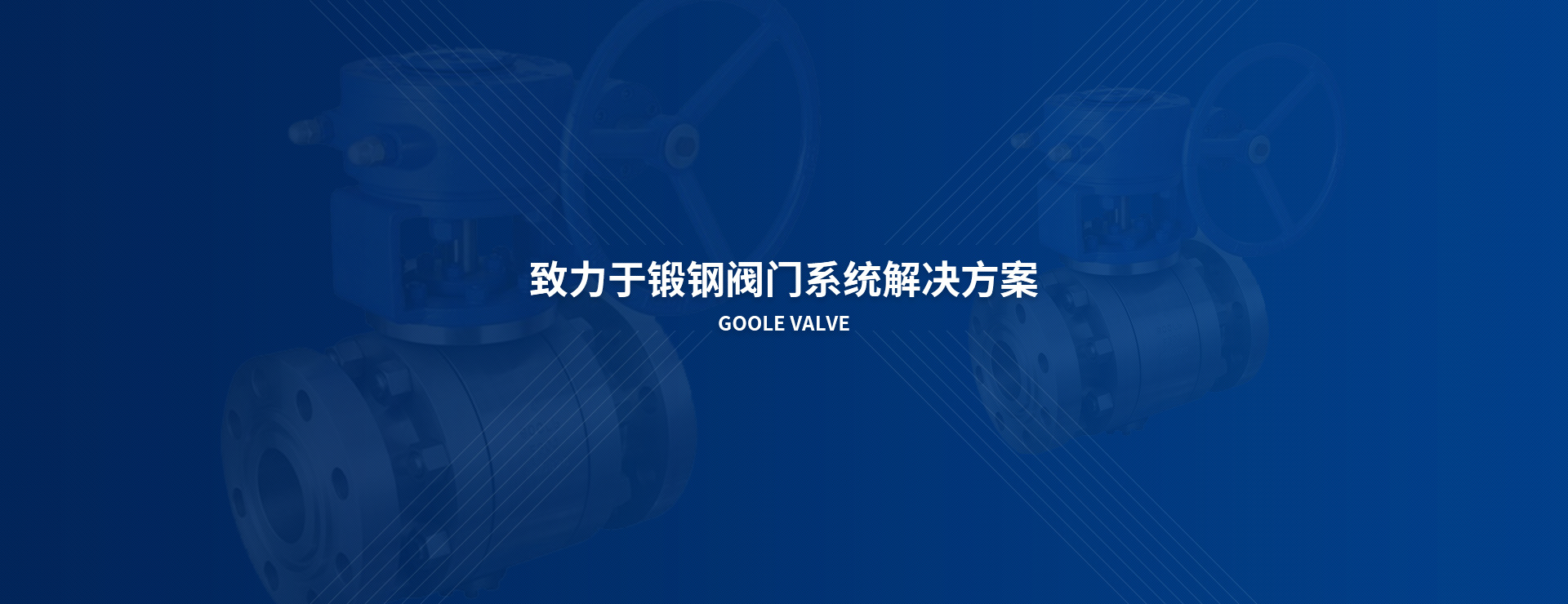 產(chǎn)品展示
